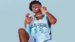 diamant blazi height