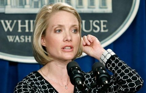 dana perino height